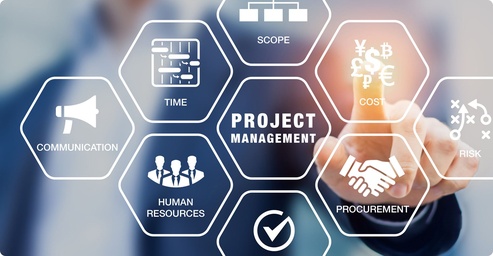 Professional Project Management Services